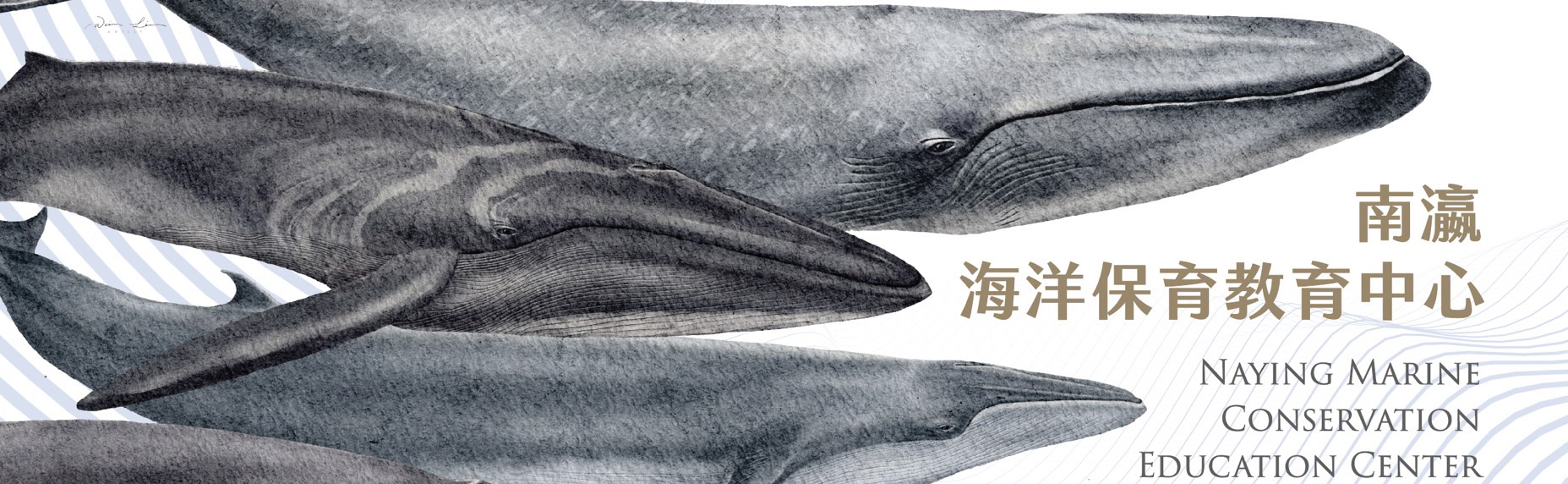 入口意象
